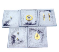 電場線演示（shì）器