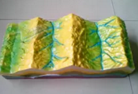 褶皺構造及其（qí）地貌演變模（mó）型