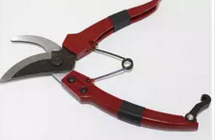 枝（zhī）剪（jiǎn）