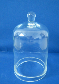 玻璃鍾（zhōng）罩