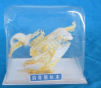 鴿骨骼標本