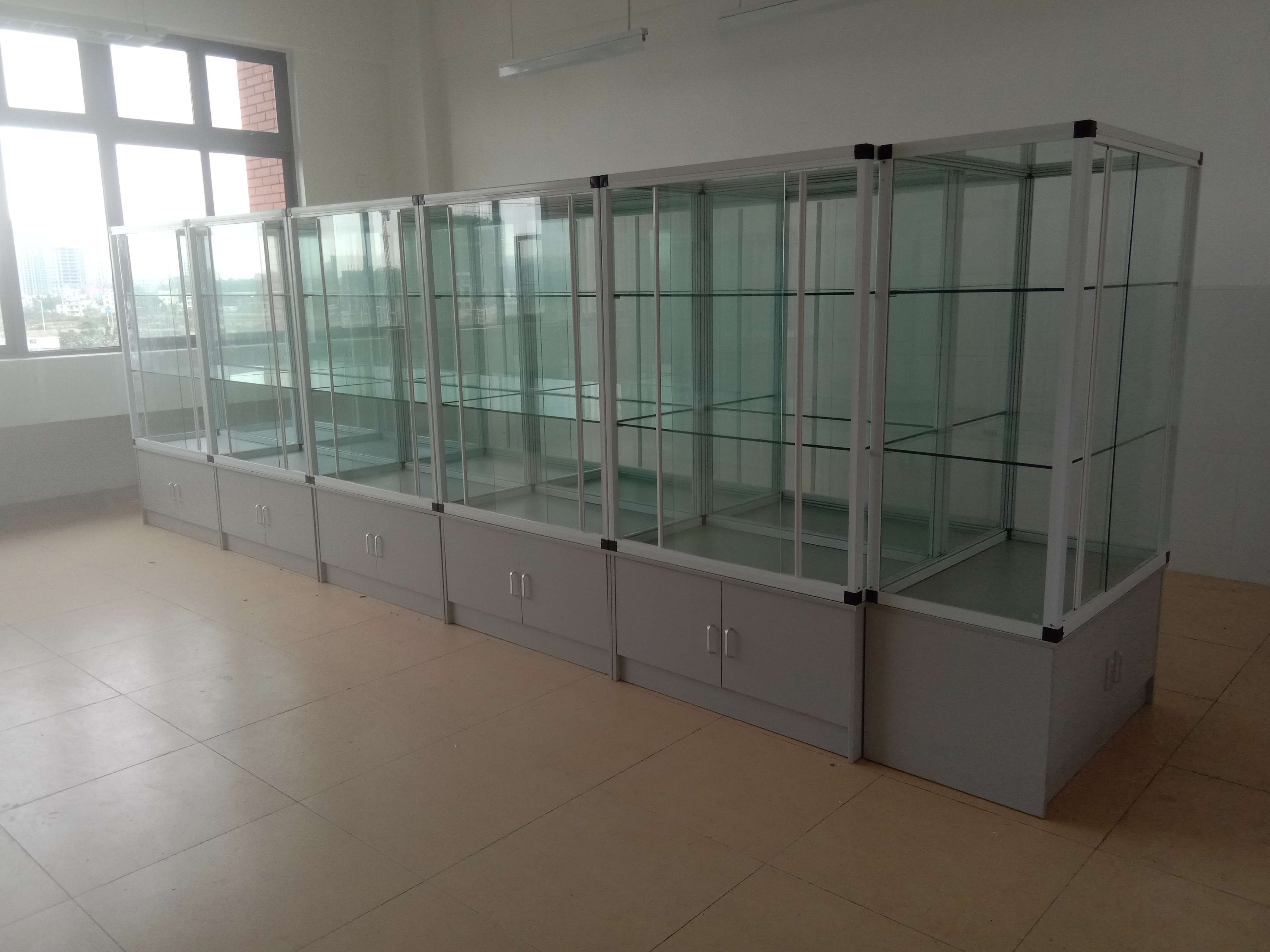 儀器櫃藥品櫃（guì）標本（běn）櫃