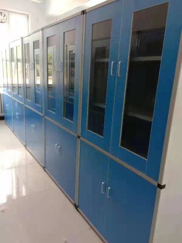 儀器櫃藥品櫃標（biāo）本櫃